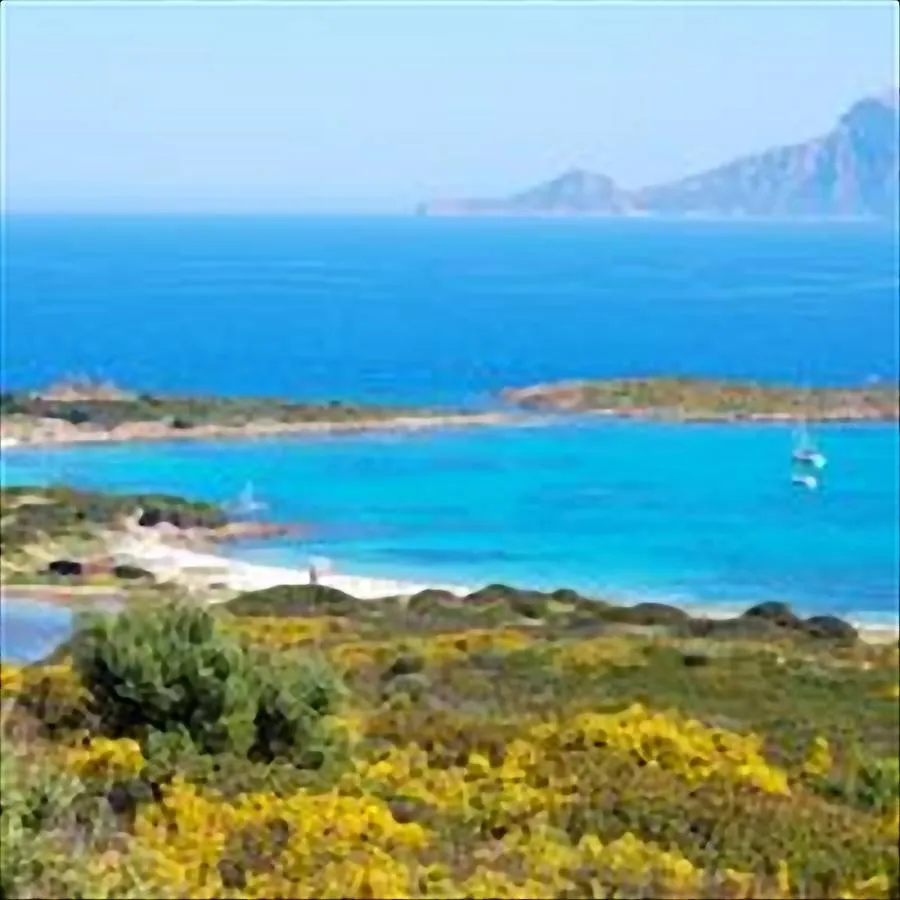 Διαμέρισμα Residence Sottomonte Golfo Aranci