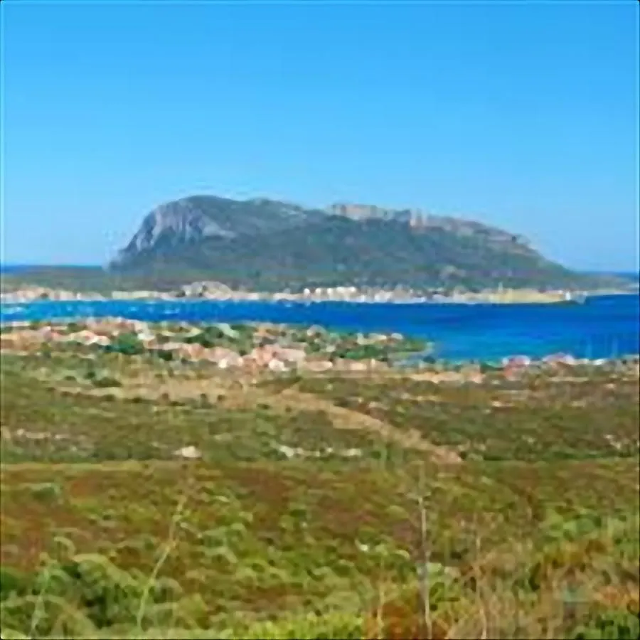 Residence Sottomonte Golfo Aranci Διαμέρισμα